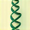Illustration of a DNA strand and healthy cells, representing longevity research